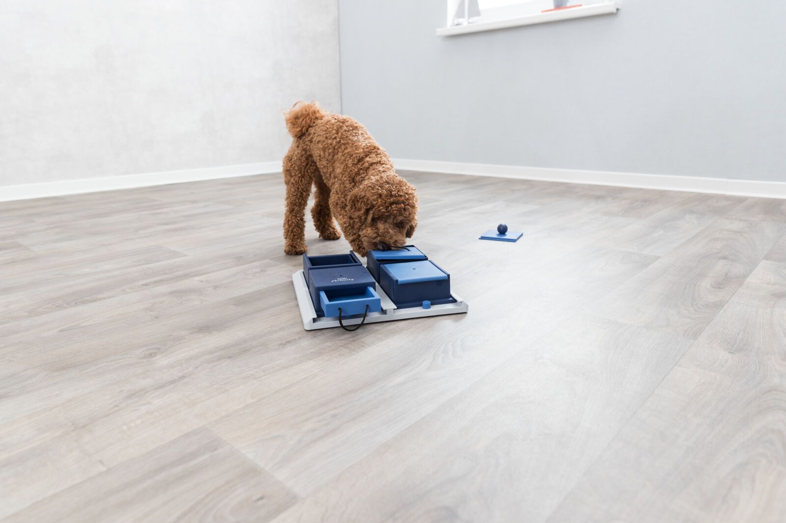 Poker Box 1 – Jeu stratégique et éducatif pour chien TOPMAST