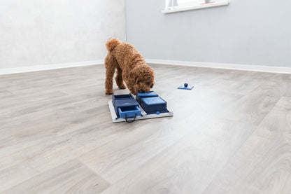 Poker Box 1 – Jeu stratégique et éducatif pour chien TOPMAST
