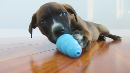 KONG Puppy