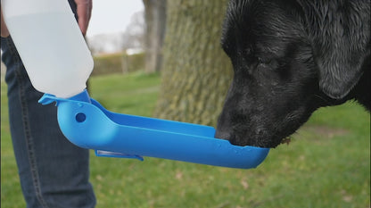 Portable Dog Water Bottle – Coolpets – 500 ml