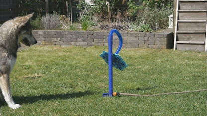 Arroseur rafraîchissant pour chien – Coolpets Flower Sprinkler