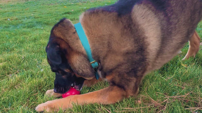 KONG Ball