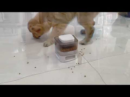 Distributeur de friandises éducatif