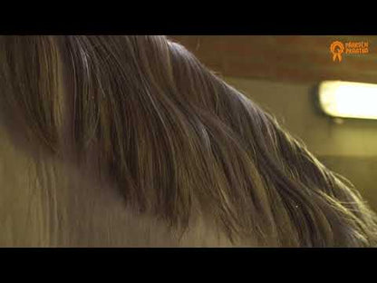 Spray Pailleté Paardenpraat TV Glitter Glamour - 5 Couleurs au choix