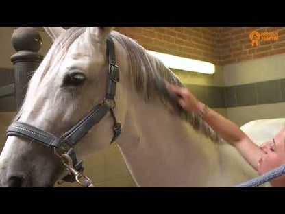 Spray brillant Paardenpraat TV250 ml