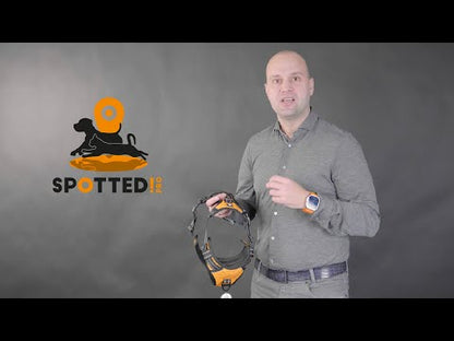 Harnais Anti-Traction pour Chien Spotted! Pro – No Pull, Confort & Contrôle