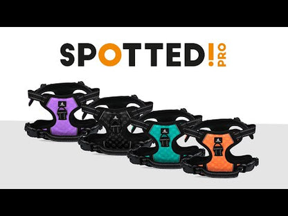 Harnais Anti-Traction pour Chien Spotted! Pro – No Pull, Confort & Contrôle
