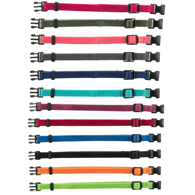 Puppy Halsbandjes - 6 Kleuren Assortiment