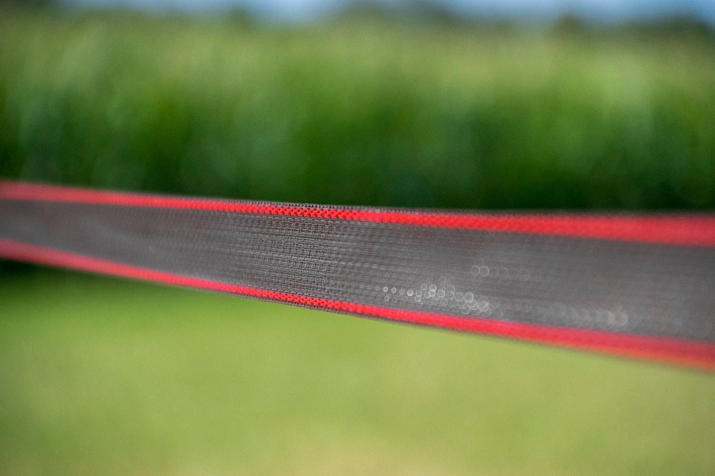 Ruban ZoneGuard PLUS brun 40 mm 200 m – Clôture électrique cheval - Trufféo