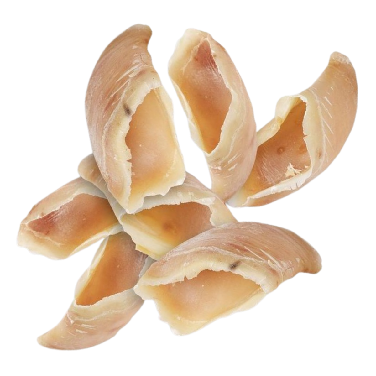 Sabots de bœuf pour chien – Friandise naturelle rôtie - 100 pièces TOPMAST