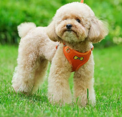 Harnais pour chien avec laisse assortie Topmast