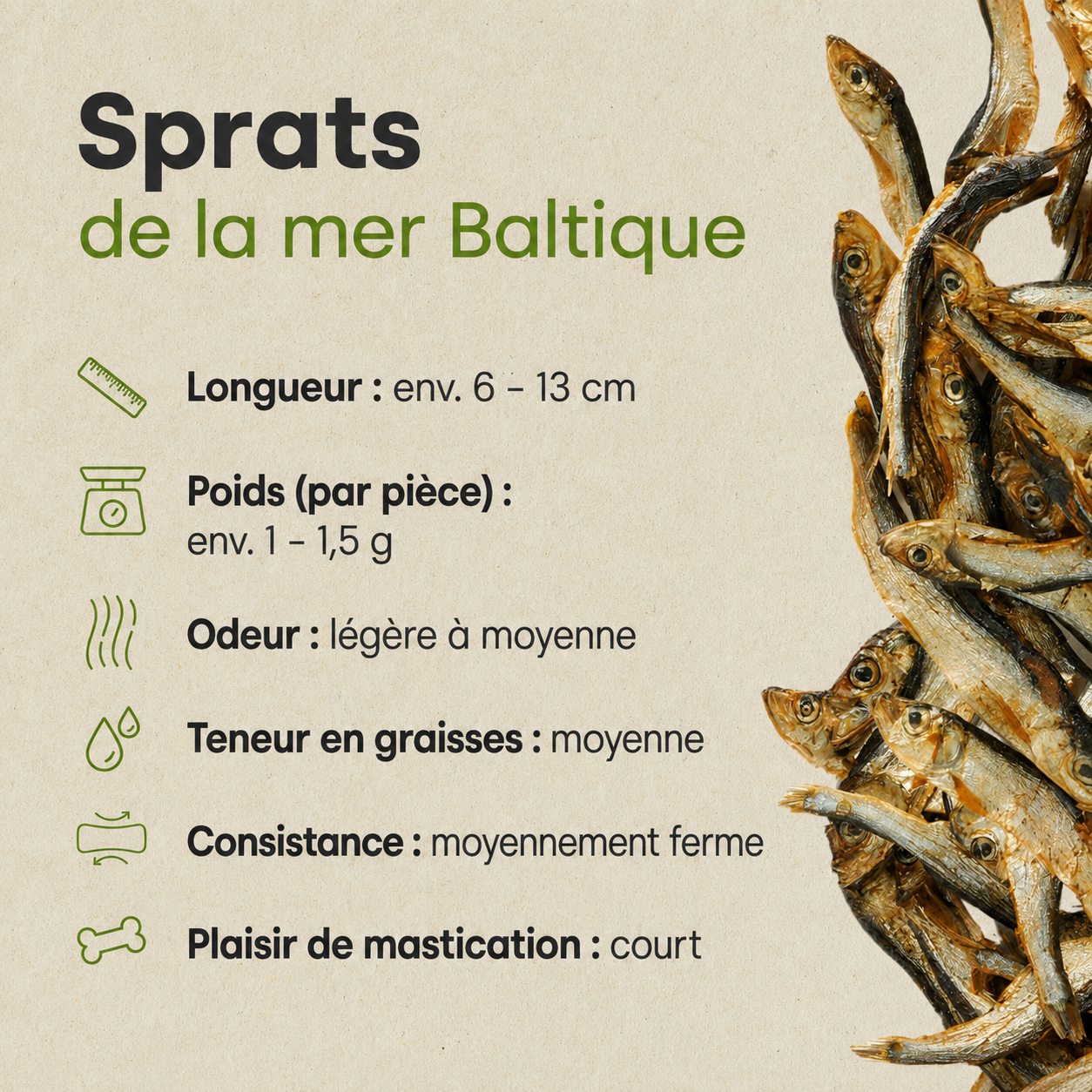Sprat de la mer Baltique sans conservateurs Kauartikel.com GmbH