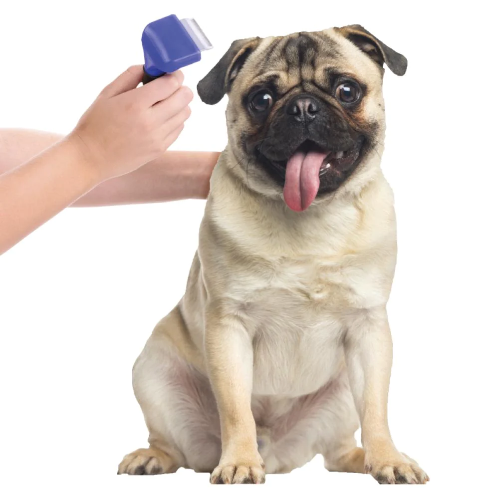 DeShedding Kam Heavy Duty M - Donkerblauw - Voor Honden en Katten