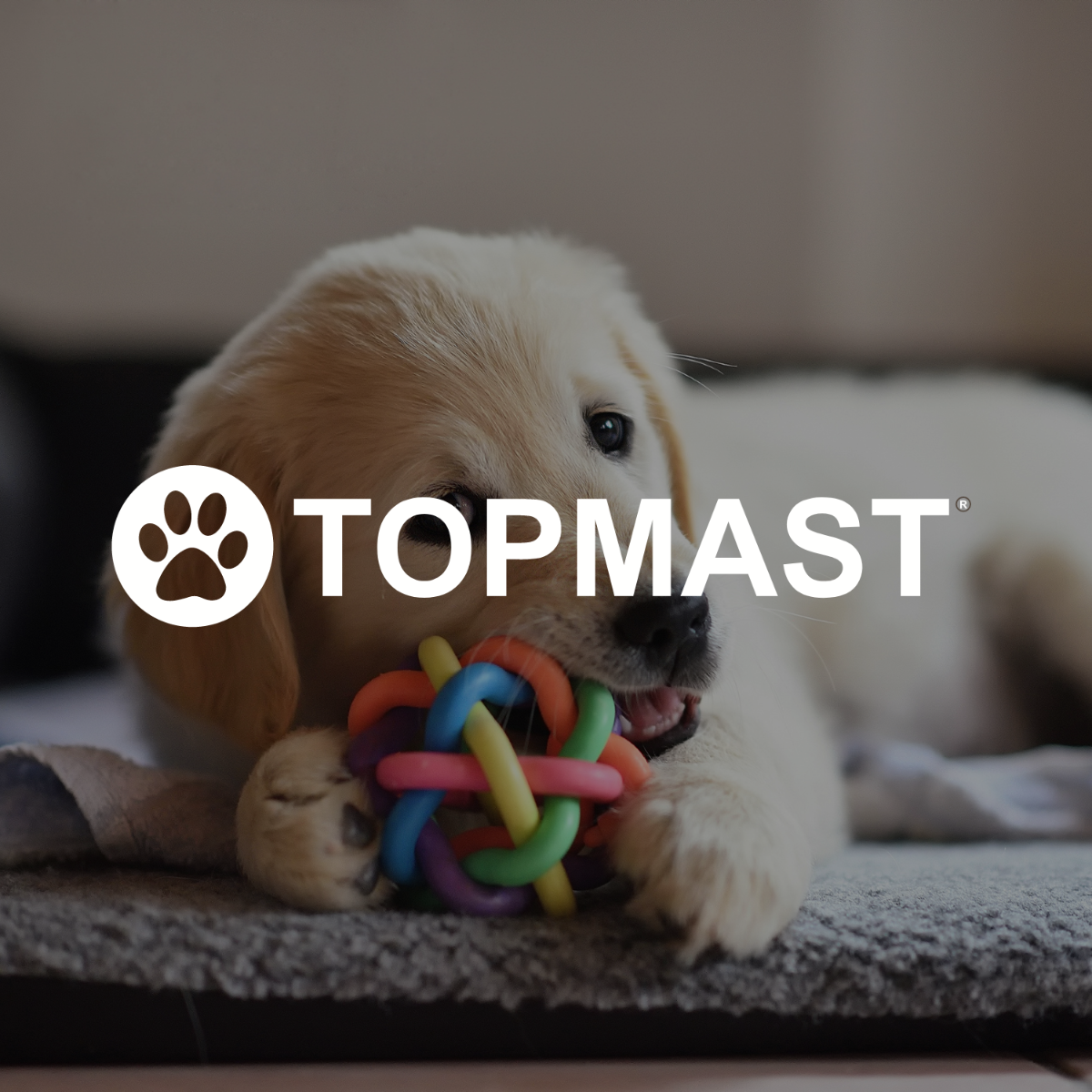 Topmast Benchkussen Teddybont - Zwart met Pootjes