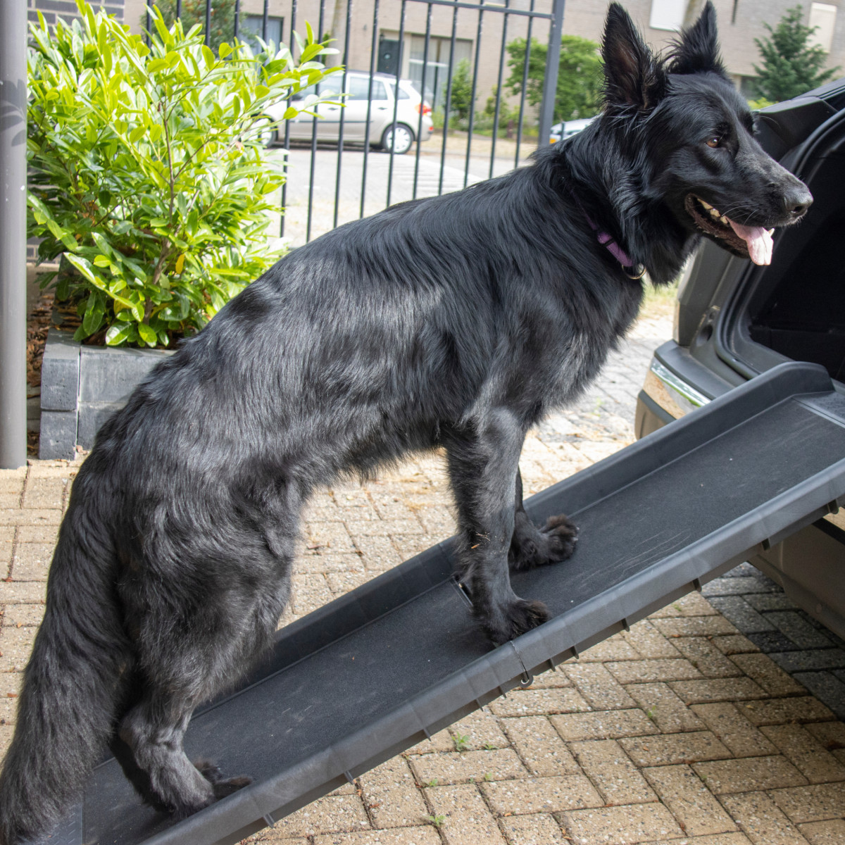 Topmast Loopplank Original - Kunststof - Blauw - Tot 90 KG