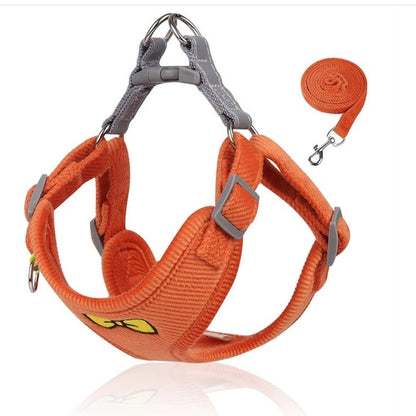 Harnais pour chien avec laisse assortie Topmast