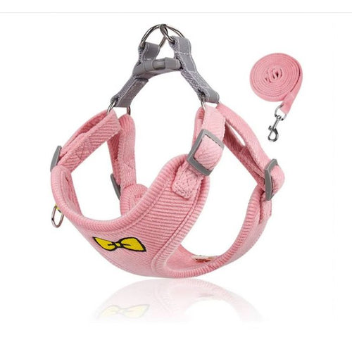 Harnais pour chien avec laisse assortie