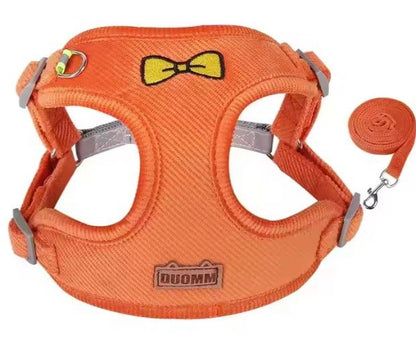 Harnais pour chien avec laisse assortie Topmast