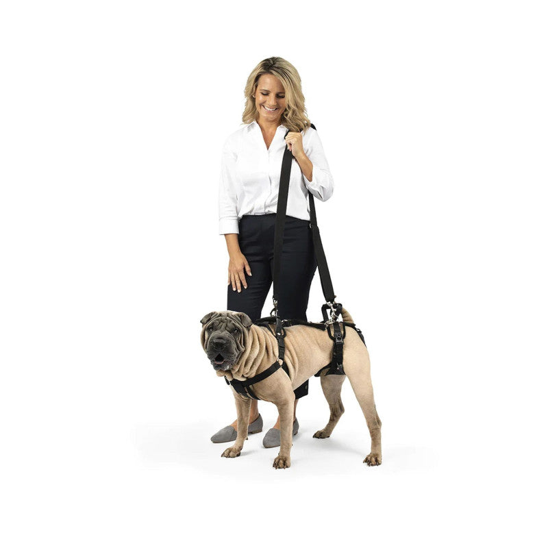 Harnais de levage CareLift PetSafe