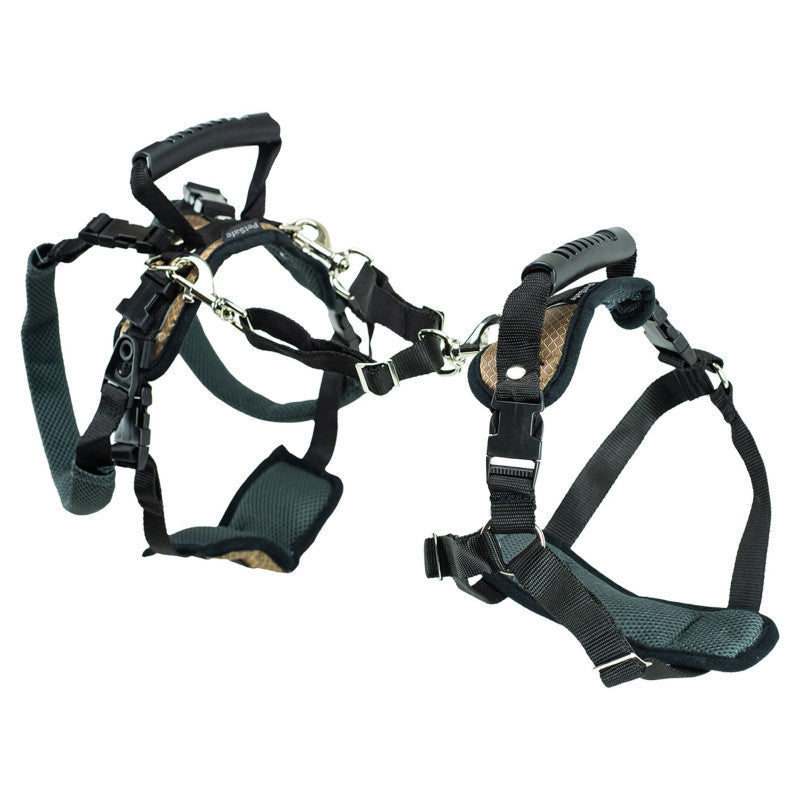 Harnais de levage CareLift PetSafe