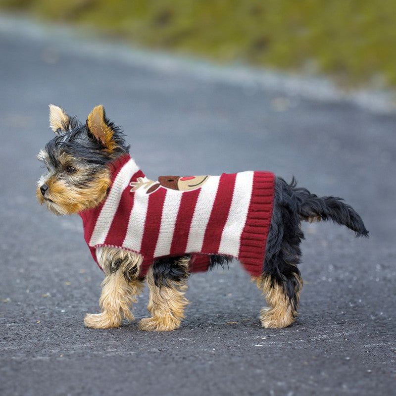 Pull Rayé Rouge Renne de Noël pour chien DOOGY CLASSIC
