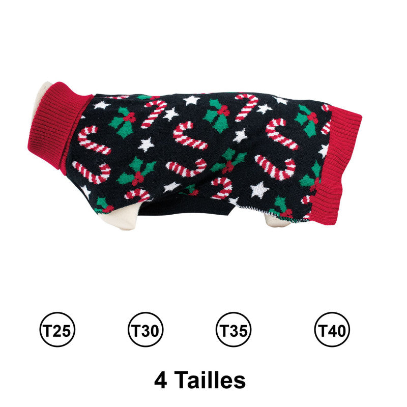 Pull Sucre d’orge pour chien – Doogy Classic 