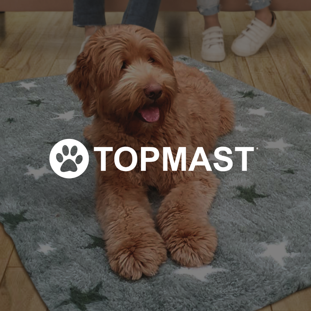 Vetbed saison de chasse - Vert, Noir & Blanc