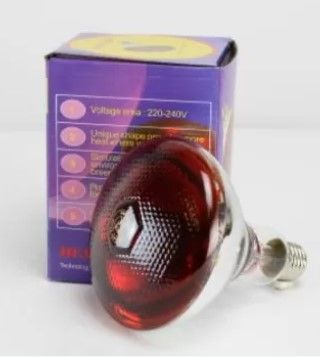 Warmtelamp Infrarood 175 watt
