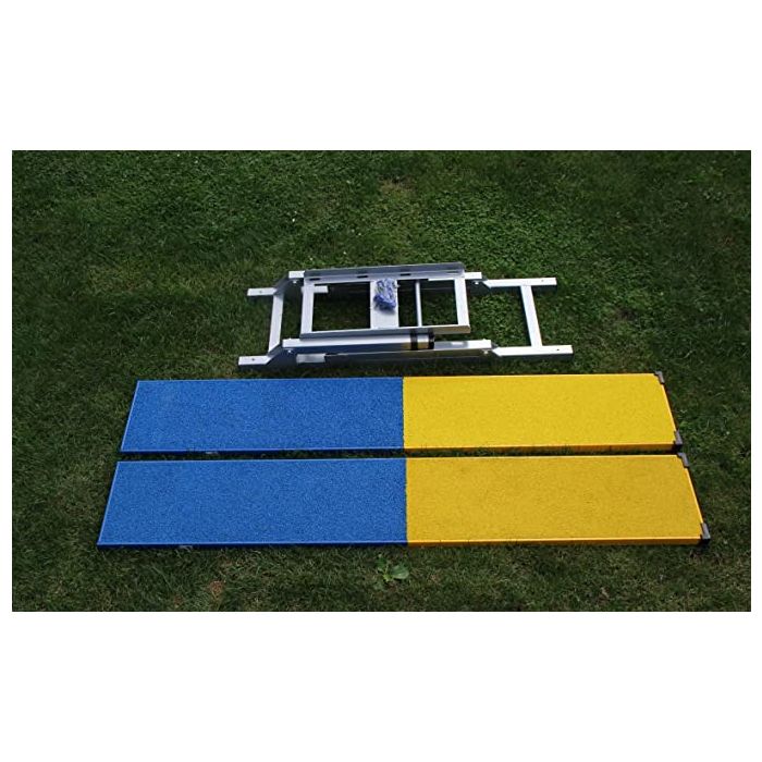 Balançoire professionnelle d'agilité pour chiens