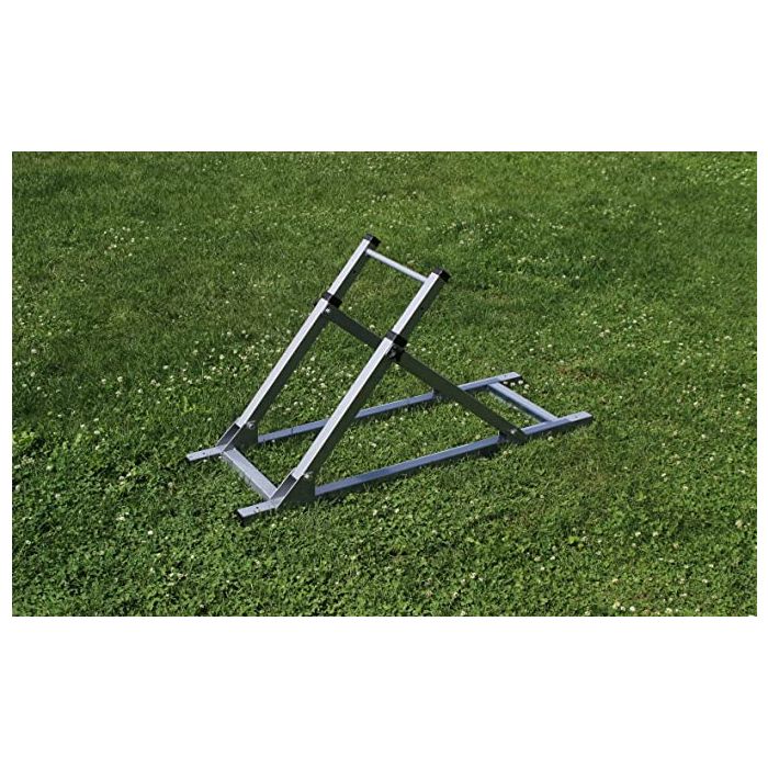 Balançoire professionnelle d'agilité pour chiens