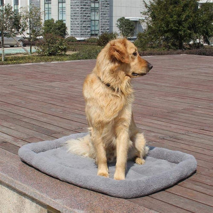 🐾 Panier pour chien WoolyPaws – Topmast Trufféo