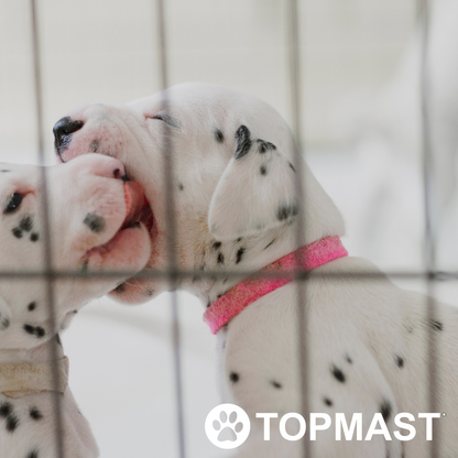 Topmast Puppyren Expandable - Opvouwbaar - Diverse Maten